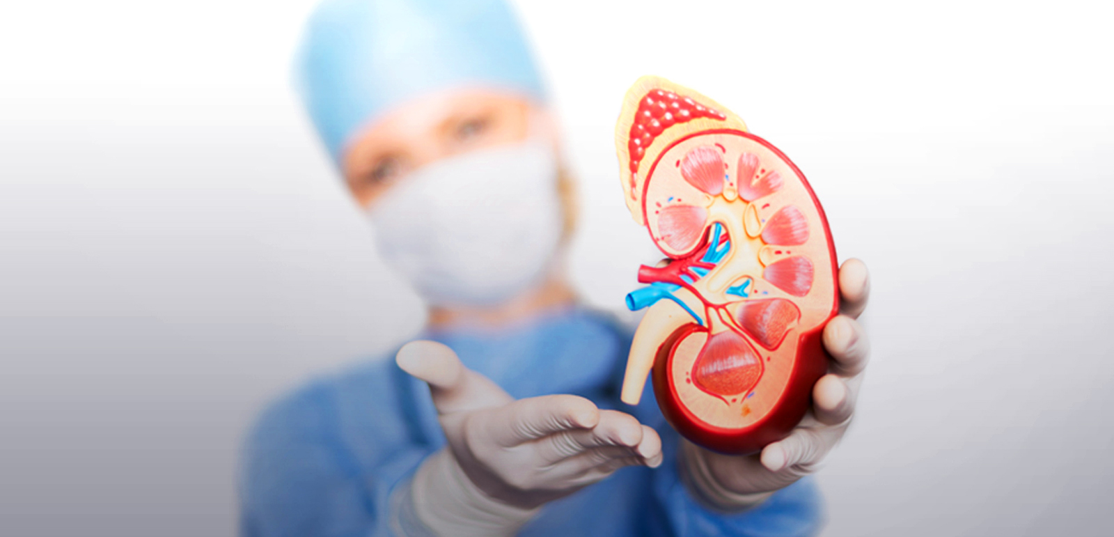 Nephrology - Narayani Hospital